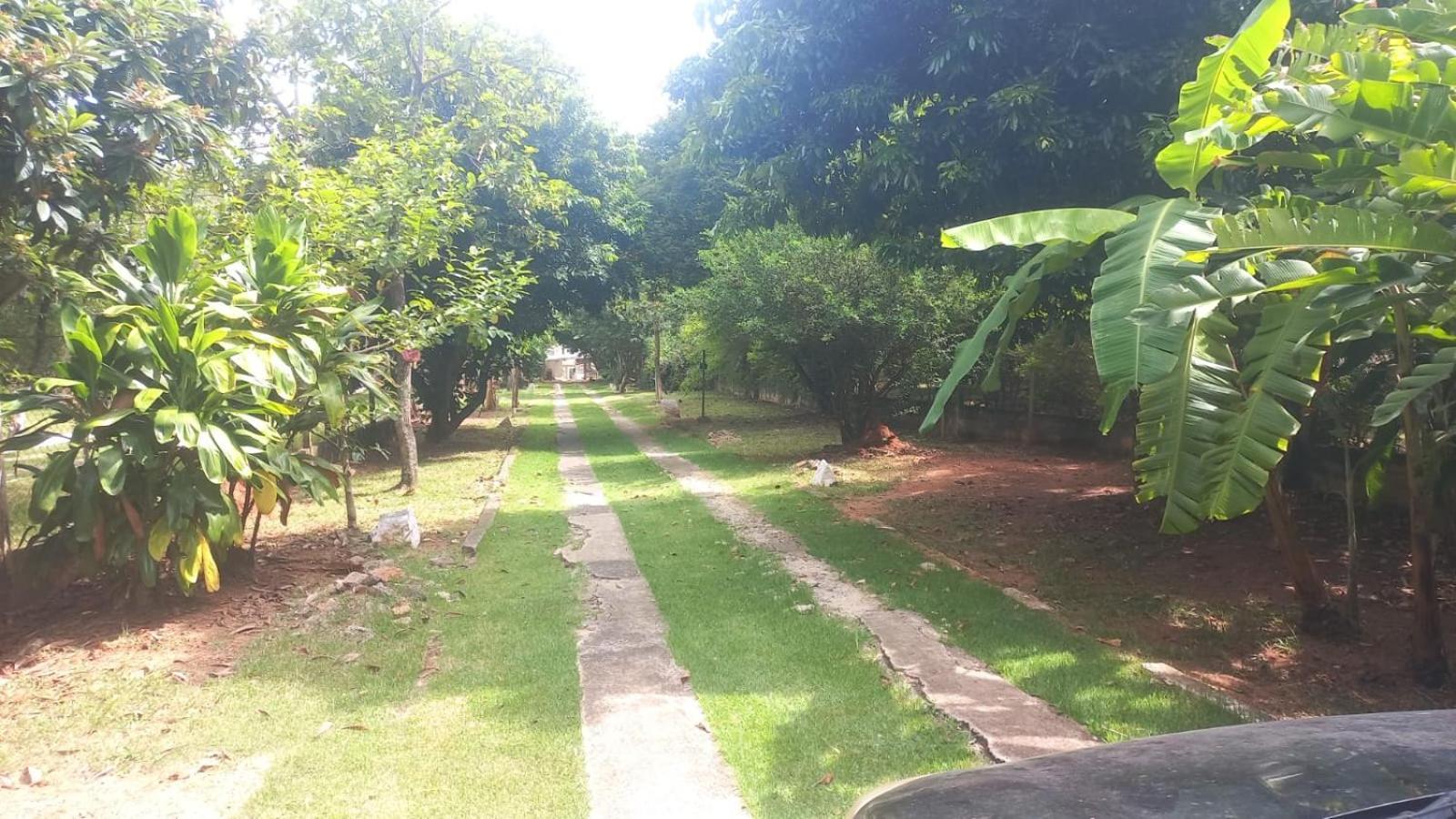 Flor De Jabuticabeira Hostel Jaguariúna Екстериор снимка